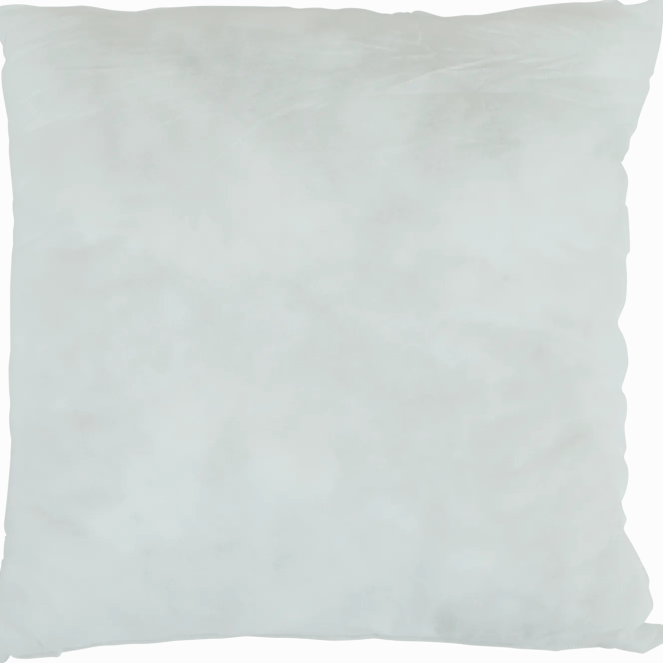 Binnenkussen