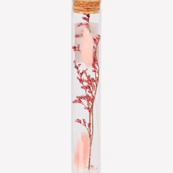 Buisje met droogbloemen