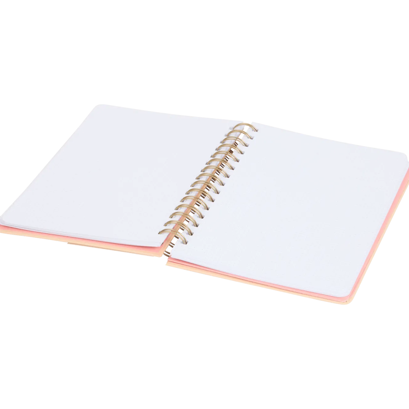 Craft Universe bullet journal A5