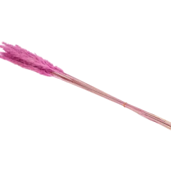 Droogboeket