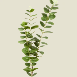 Excellent Flowers kunst-eucalyptus op steel