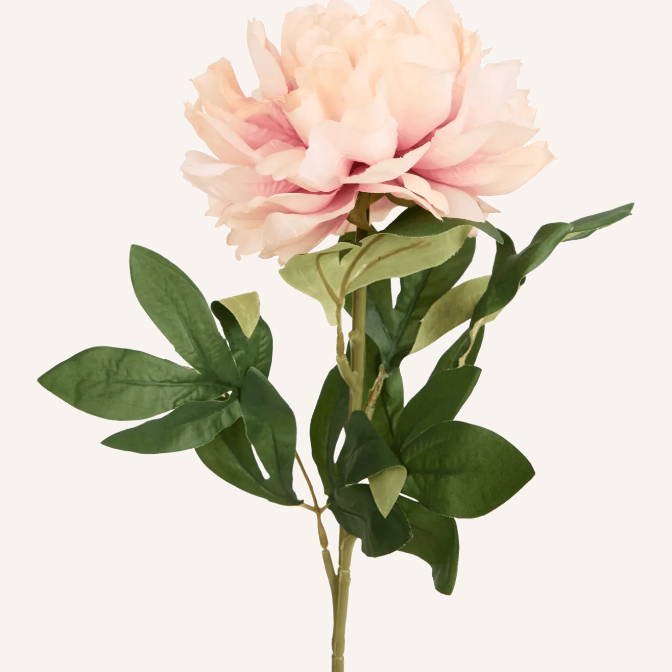 Excellent Flowers kunstpioenroos op steel