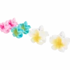 Haarclips