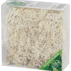 Home Accents decoratief mos