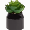 Home Accents kunstvetplantje in pot