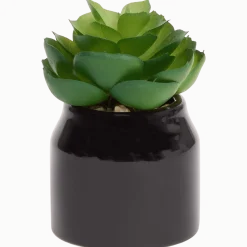 Home Accents kunstvetplantje in pot