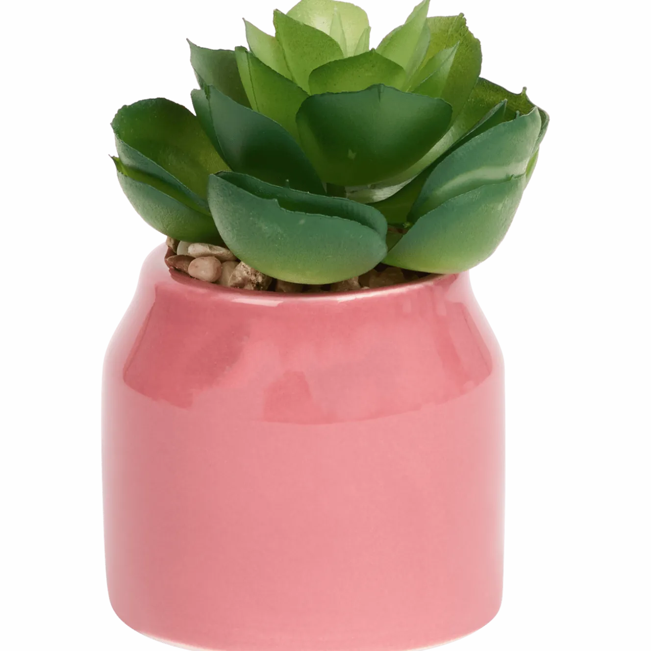Home Accents kunstvetplantje in pot