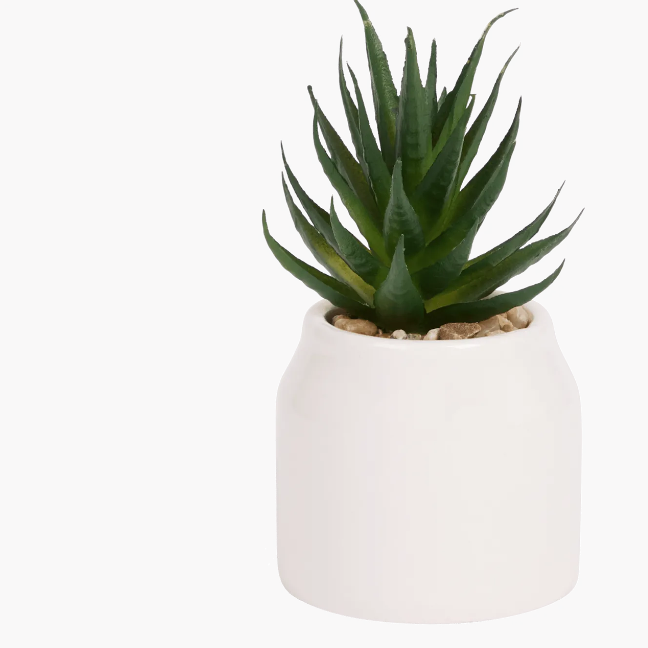 Home Accents kunstvetplantje in pot