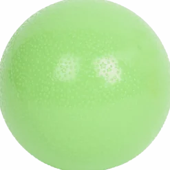 Hondenbal van rubber