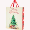 Kerst cadeautas