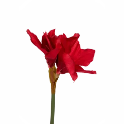 Kunstamaryllis op steel