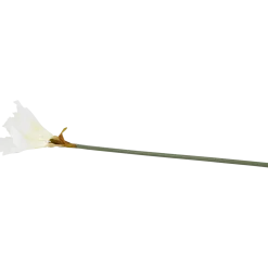 Kunstamaryllis op steel