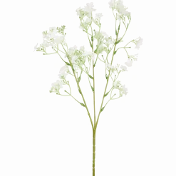 Kunstgipskruid