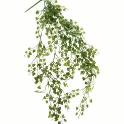 Kunsthangplant
