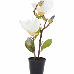 Kunstmagnolia in pot