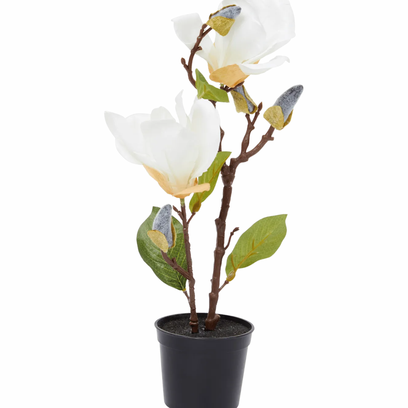 Kunstmagnolia in pot