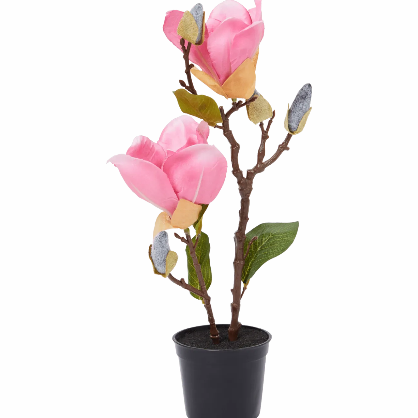 Kunstmagnolia in pot