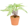 Kunstplant in pot