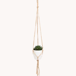 Kunst-vetplant in hangpotje
