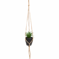 Kunst-vetplant in hangpotje