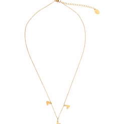 Royal Divas roestvrijstalen ketting