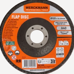 Werckmann lamellenschijf