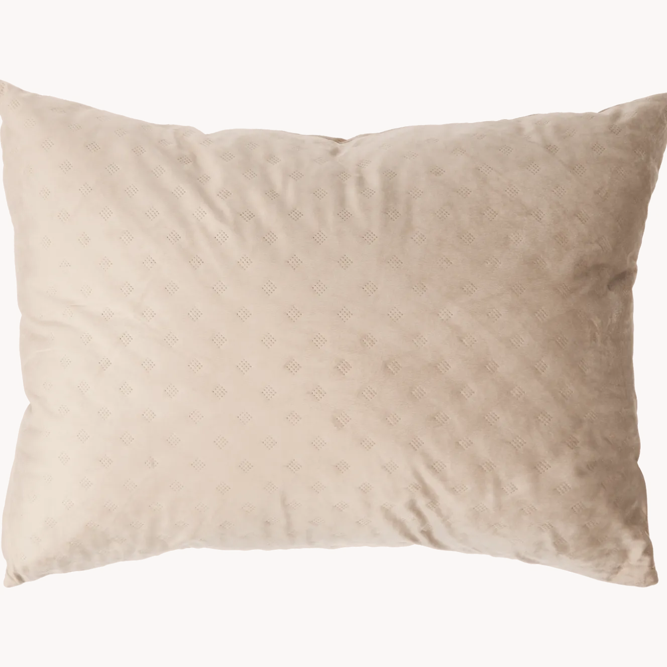 XL velvet sierkussen